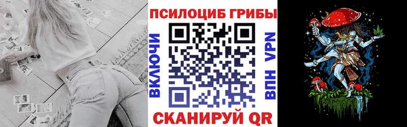 купить наркотик  блэк спрут ONION  Псилоцибиновые грибы Cubensis  Избербаш 